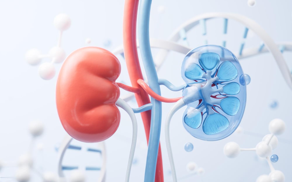 Urology